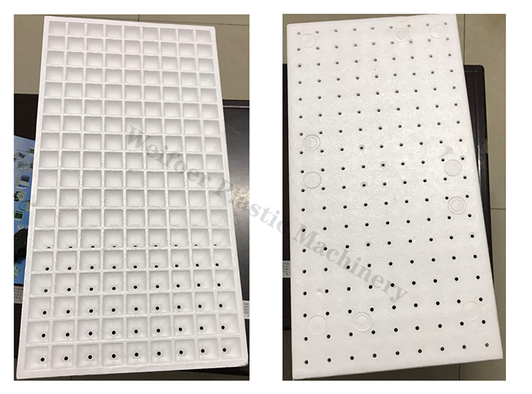 Chian Hangzhou supplier Weifoer EPS Expanded Polystyrene Boxes Styrofoam Tray Moulding Making Machine